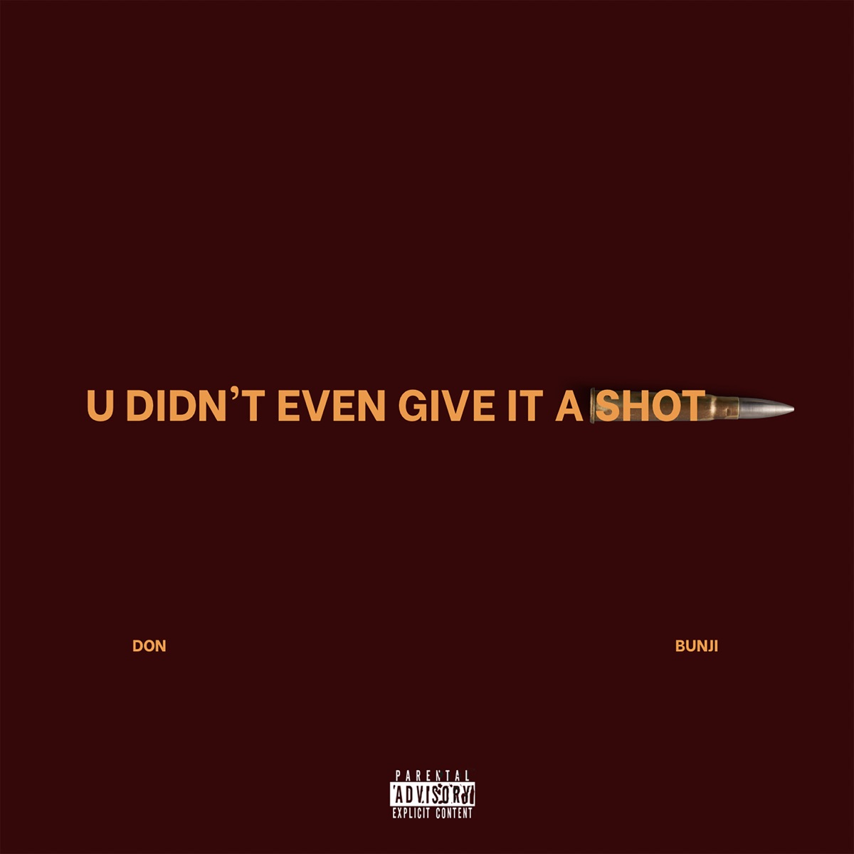 U Didn't Even Give It A Shot - Single by Don Bunji album cover