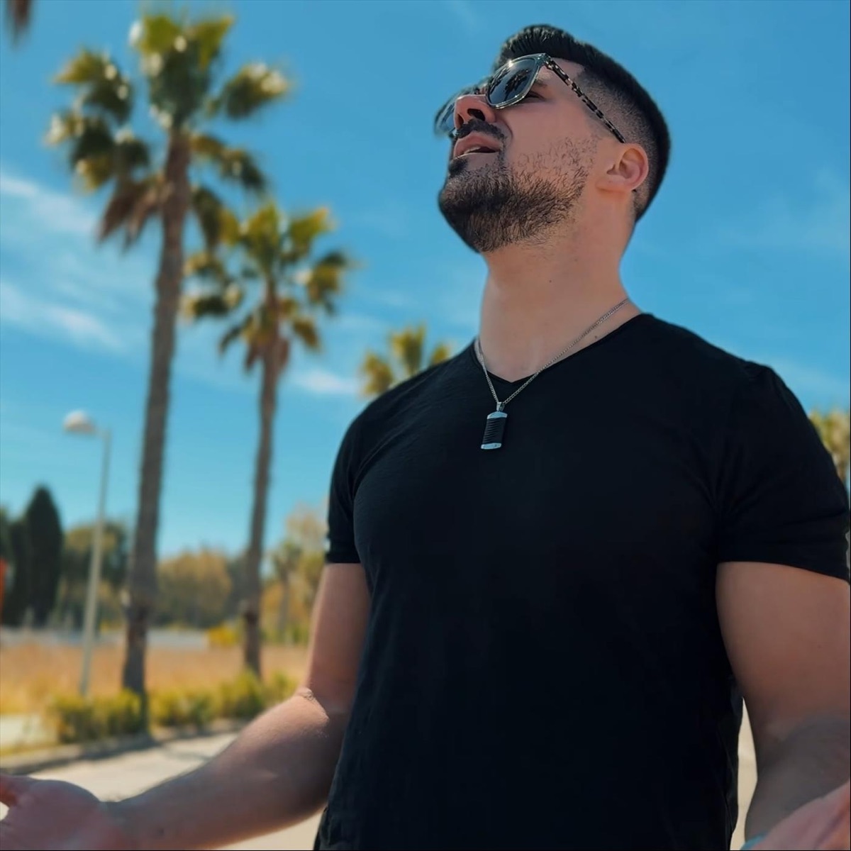 Como Puedo Amarte ? - Single by Lucian Colareza album cover