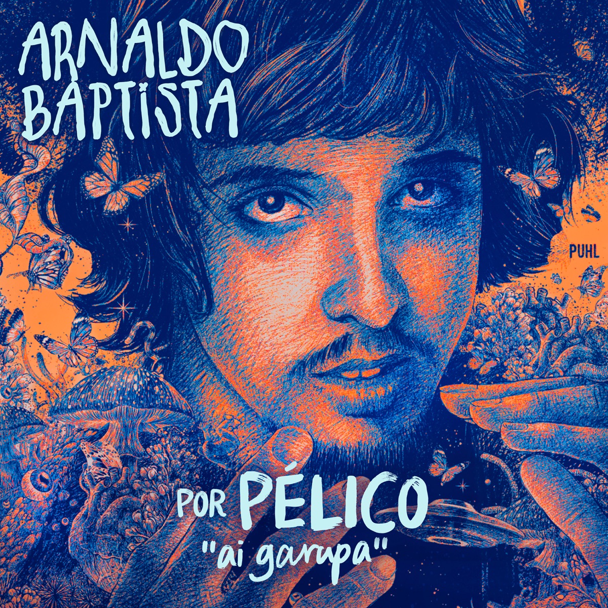 Ai Garupa - Single by Arnaldo Baptista & Pélico album cover