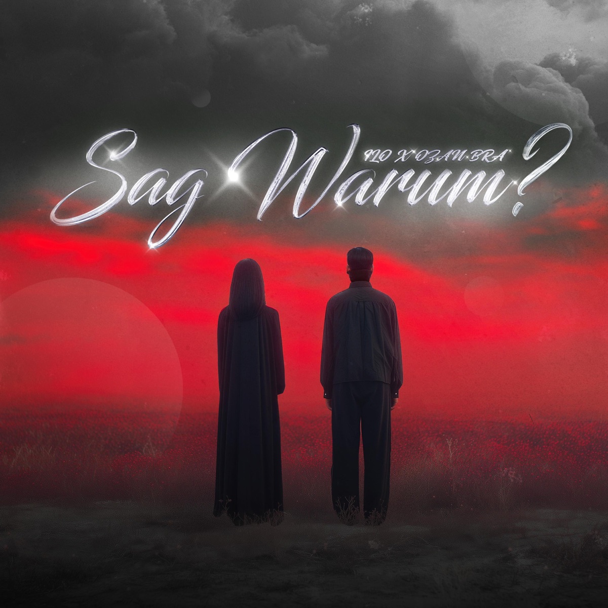 Sag Warum? - Single by ILO & OZAN BRA album cover