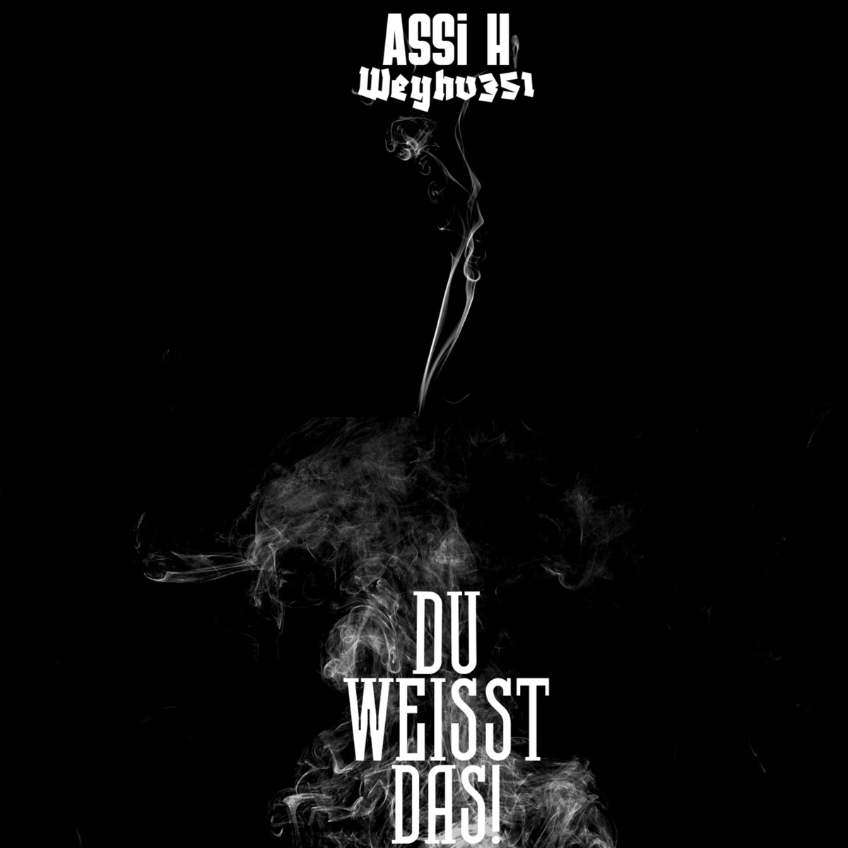 DU WEISST DAS - Single by AssiH & Weyhv351 album cover