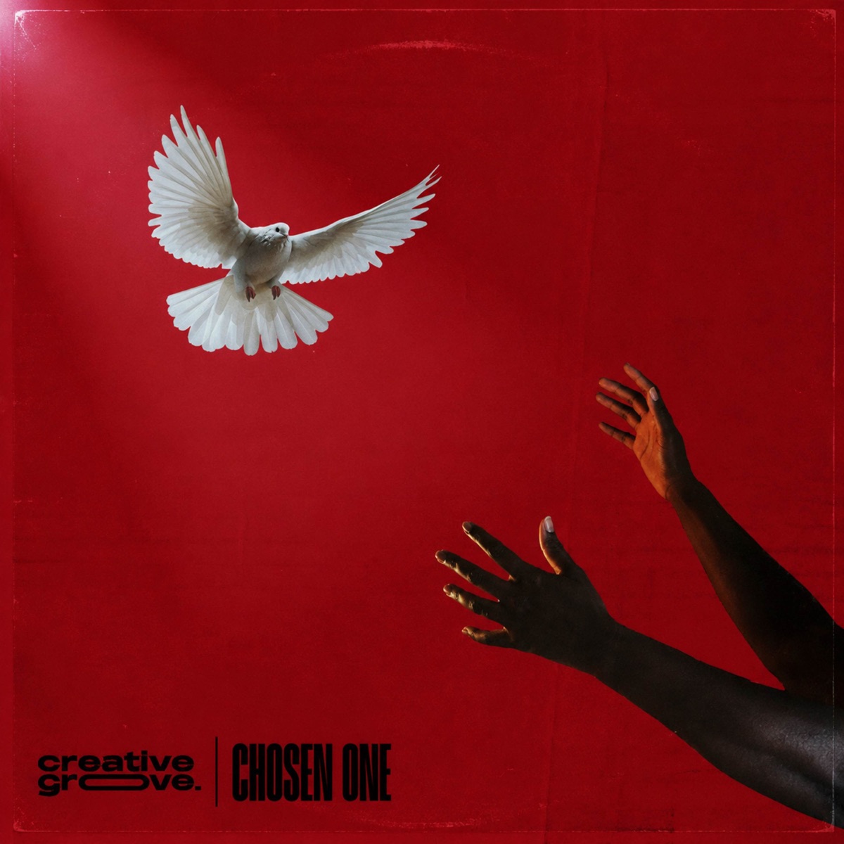 Chosen One by vincii 929 album cover