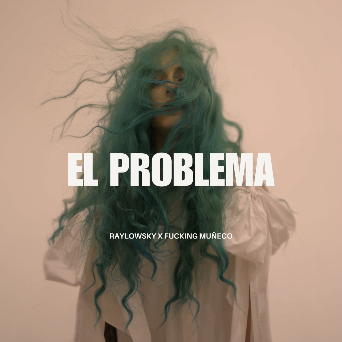El Problema - Single by Raylowsky & Fucking Muñeco album cover