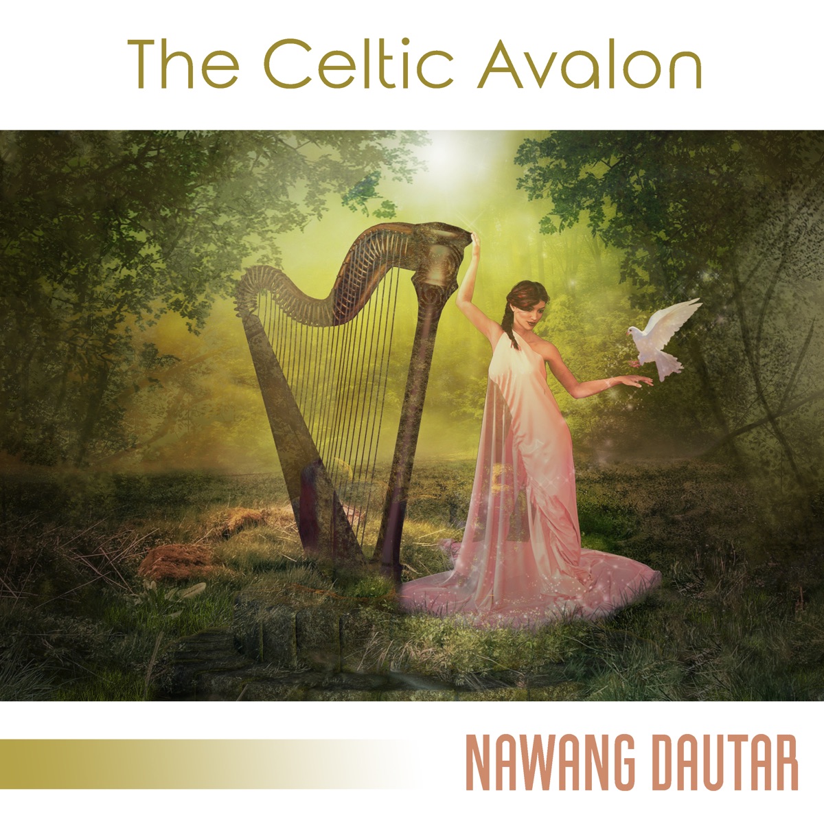 The Celtic Avalon by Nawang Dautar album cover