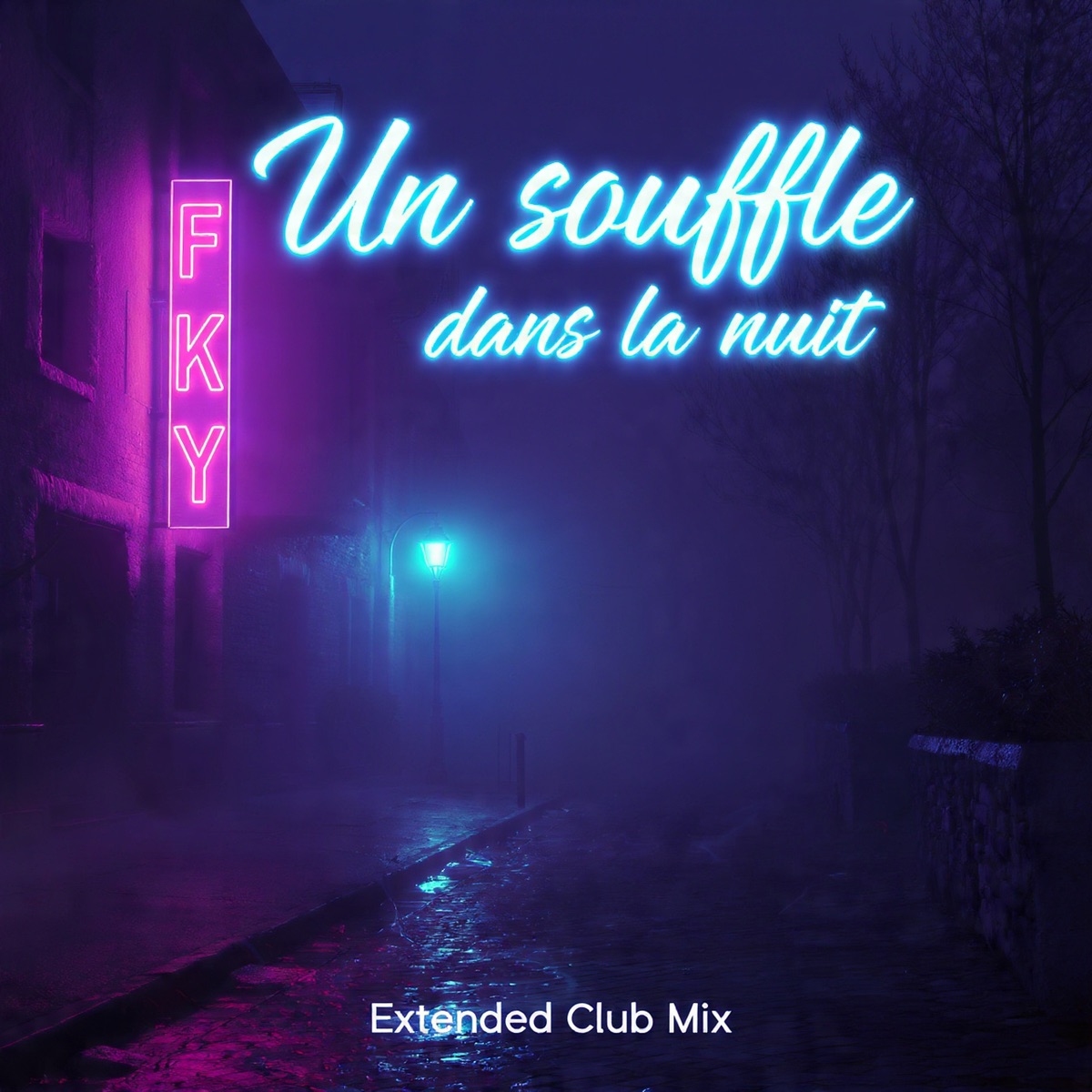 Un souffle dans la nuit (Extended Club Mix) - Single by FKY album cover