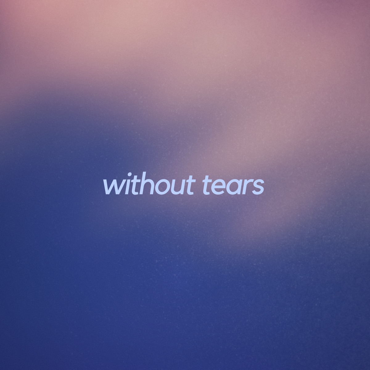 Without Tears - Single by Shrizzy album cover