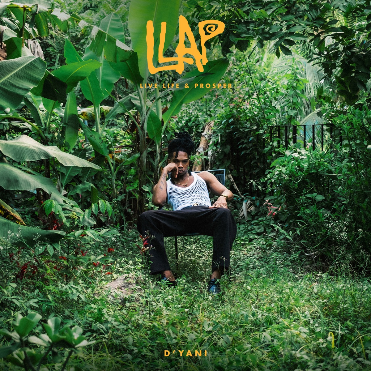 Live Life & Prosper by D'yani album cover