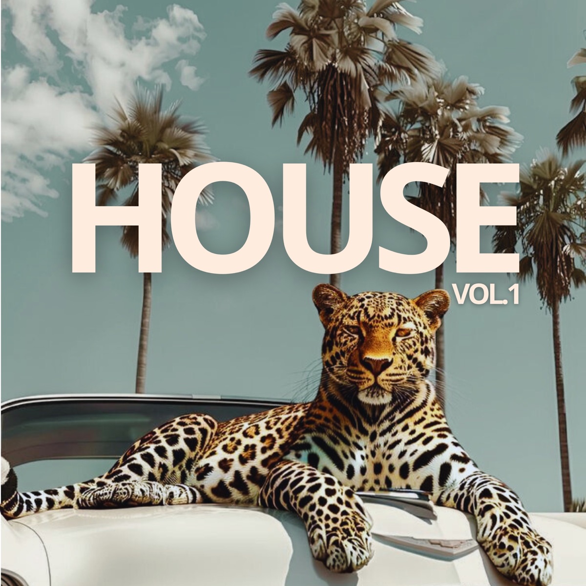 House Vol.1 - Single by AM album cover