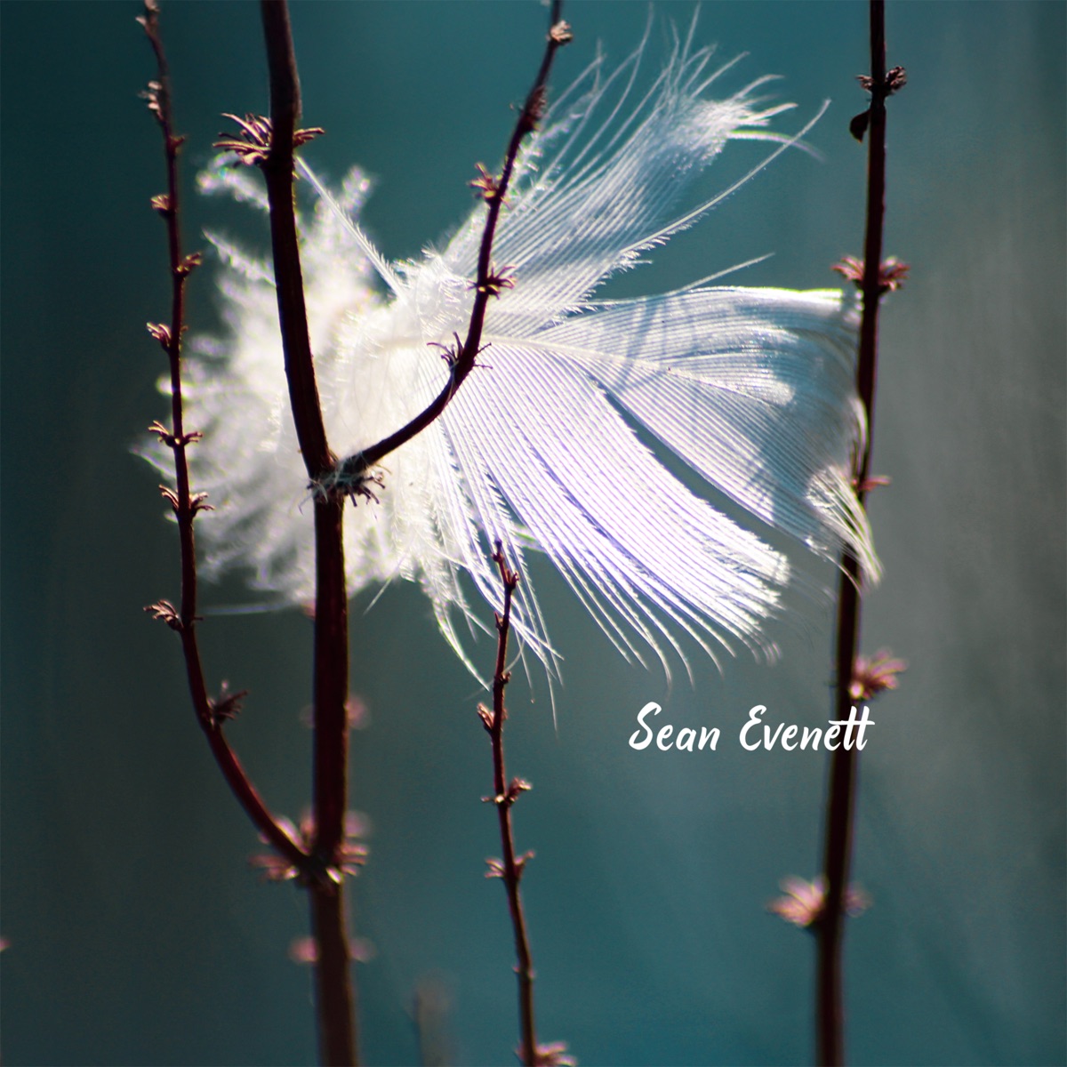 Shimmering Between Worlds by Sean Evenett album cover