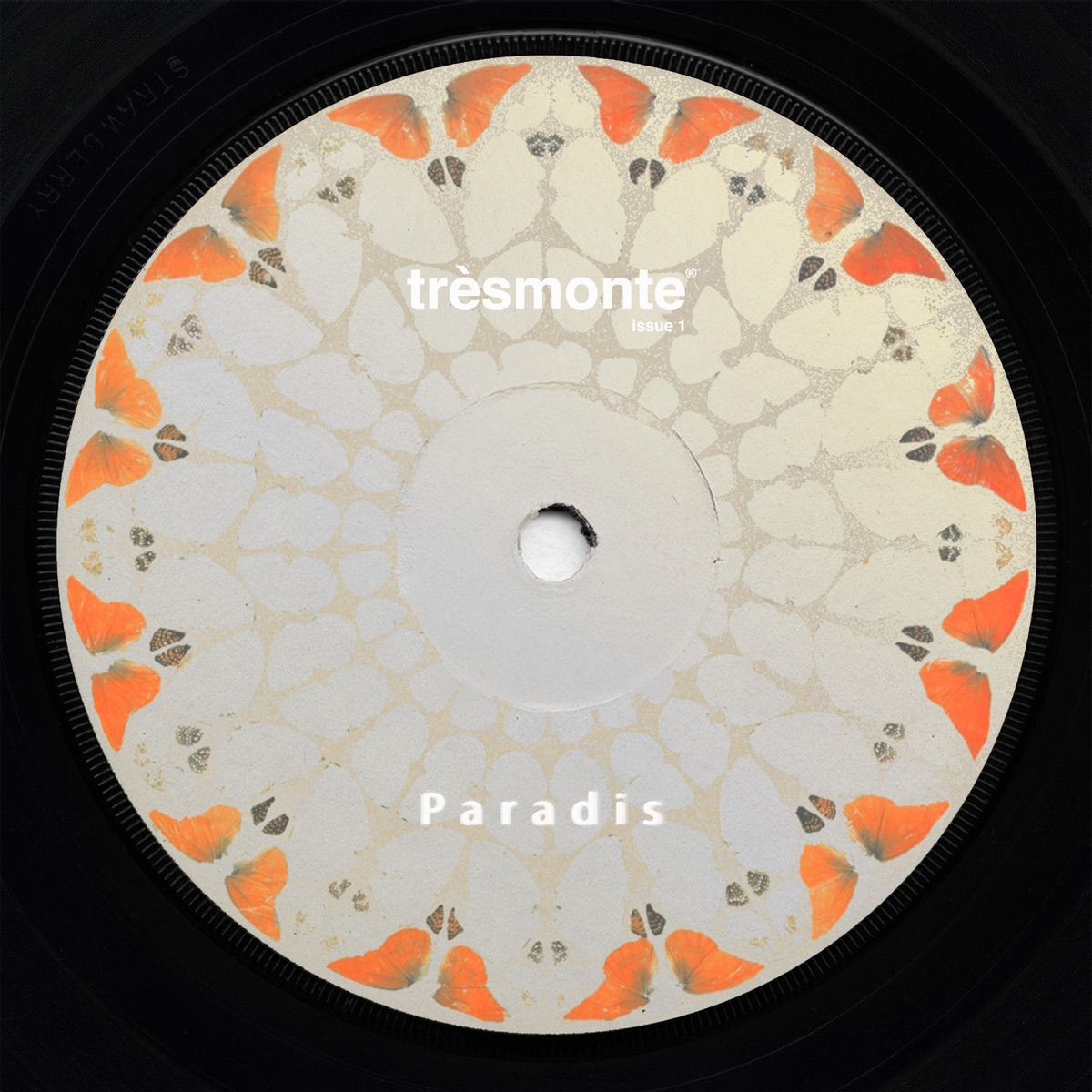 Paradis - EP by Thomas Asselman album cover