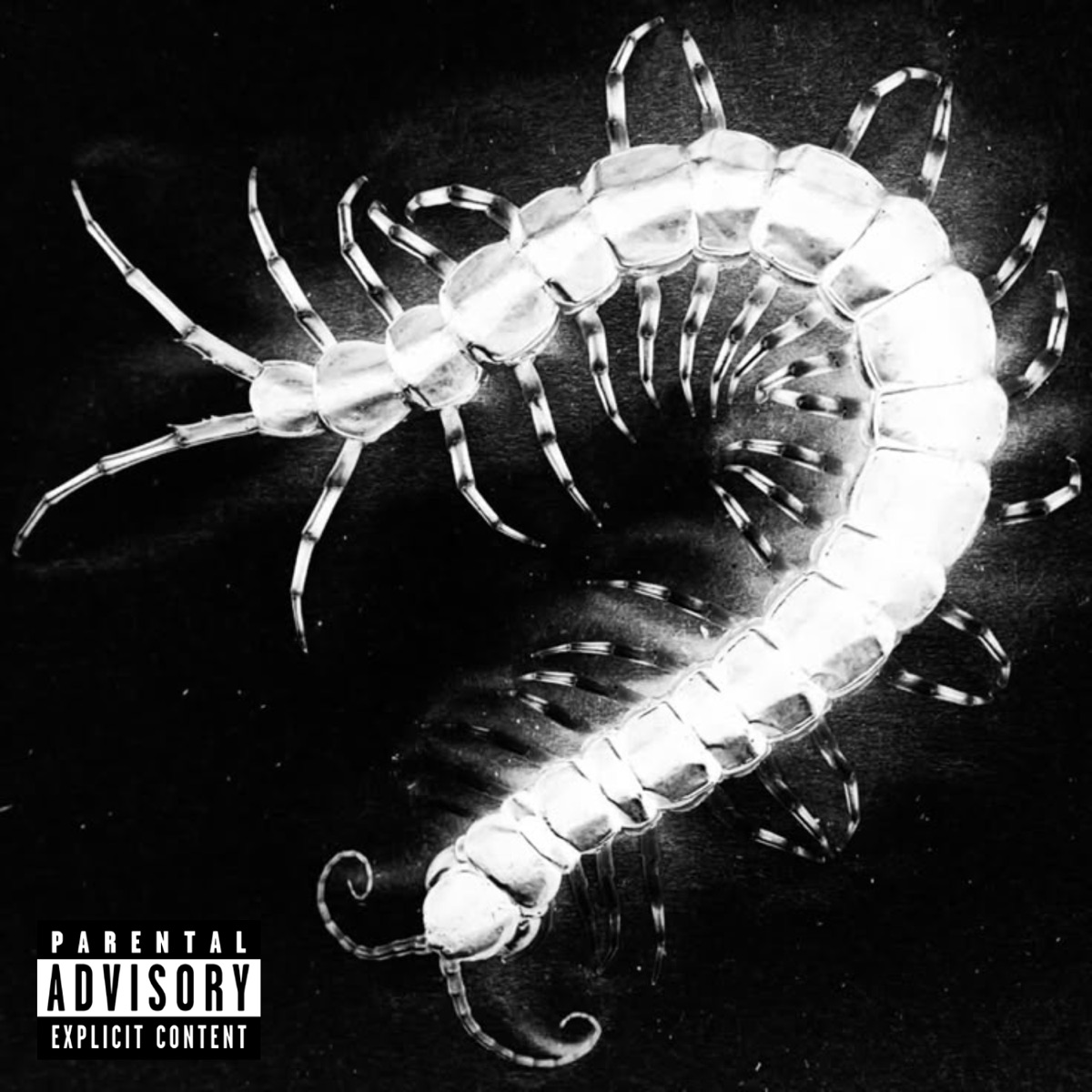 Skolopendra - Single by StrikeR album cover
