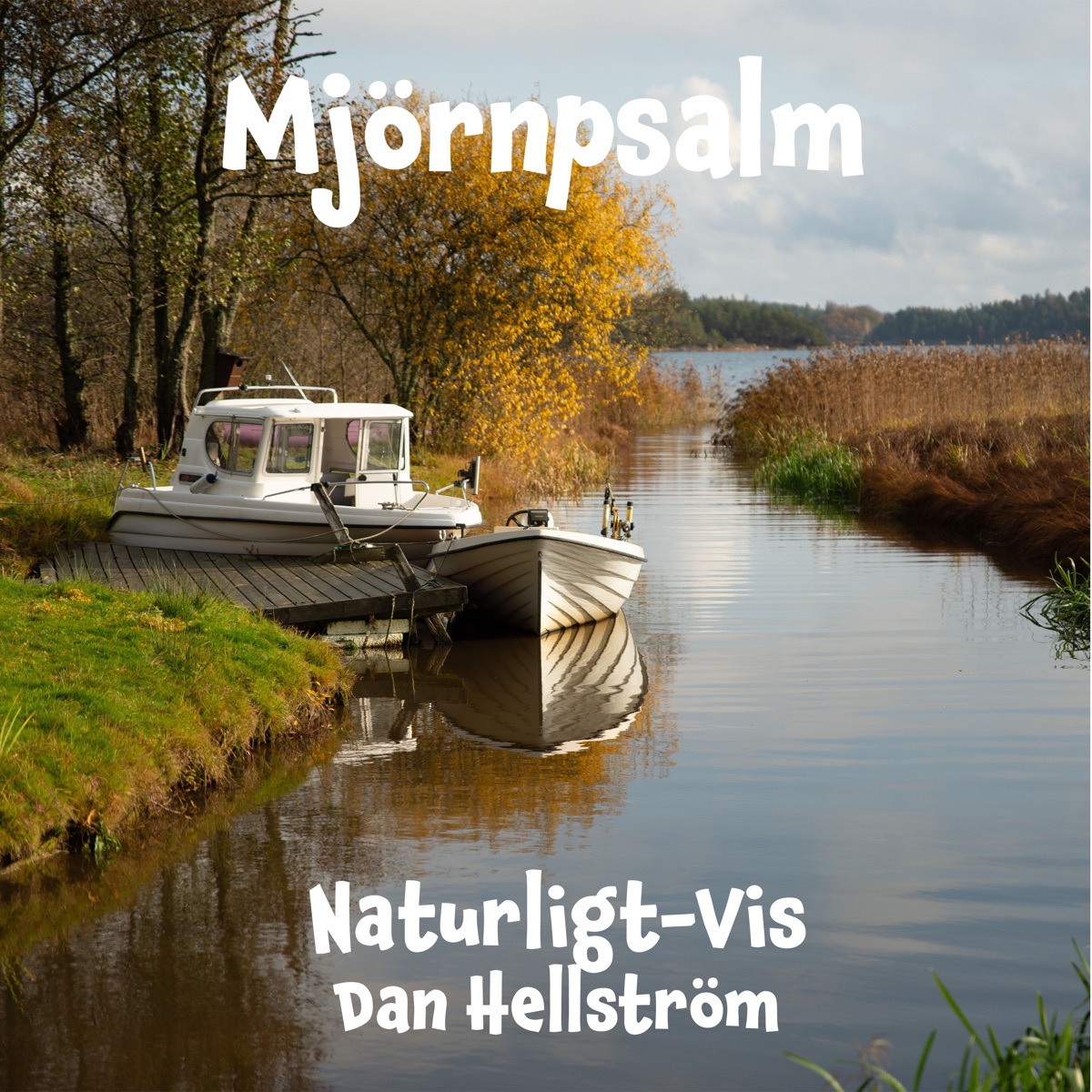 Mjörnpsalm - Single by Dan Hellström & Naturligt-Vis album cover