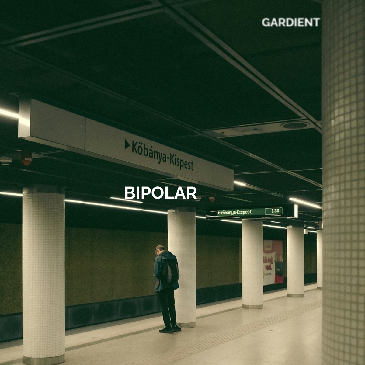 Bipolar - Single by Gardient album cover