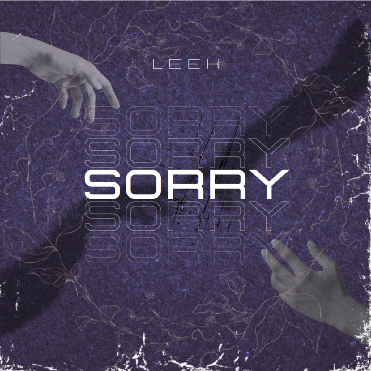 Sorry - Single by Leek album cover