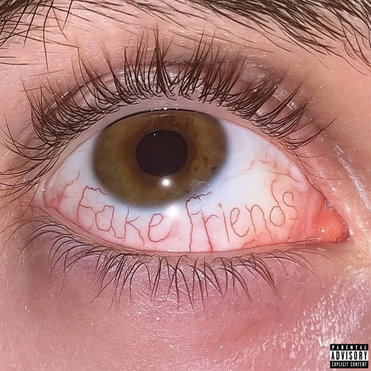 FAKE FRIENDS - Single by fafofafito*+ & babyguzz! album cover