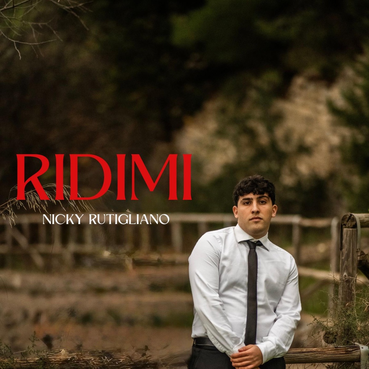 RI DI MI - Single by Nicky Rutigliano album cover