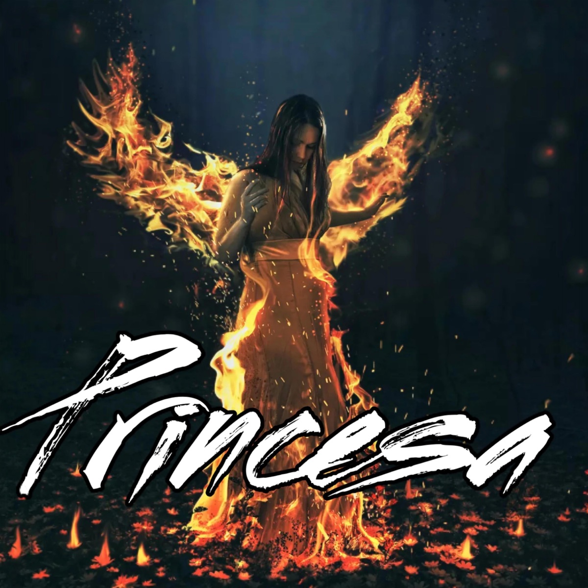 Princesa (feat. Rodchen) - Single by Andrew Del Castillo album cover
