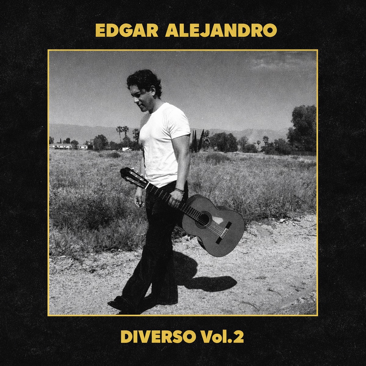 Diverso, Vol.2 - EP by Edgar Alejandro album cover