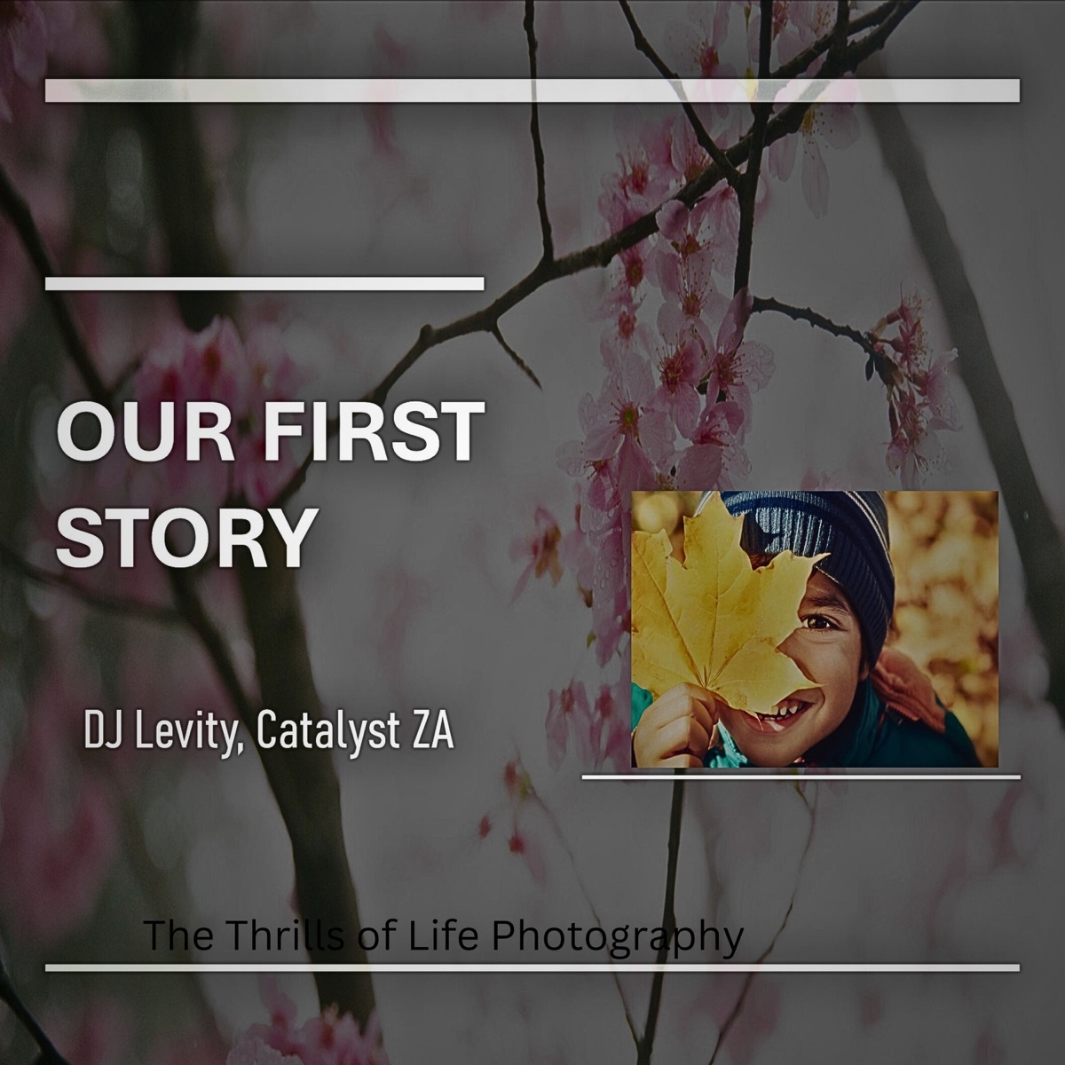 Our First Story - Single by Dj levity & Catalystic ZA album cover
