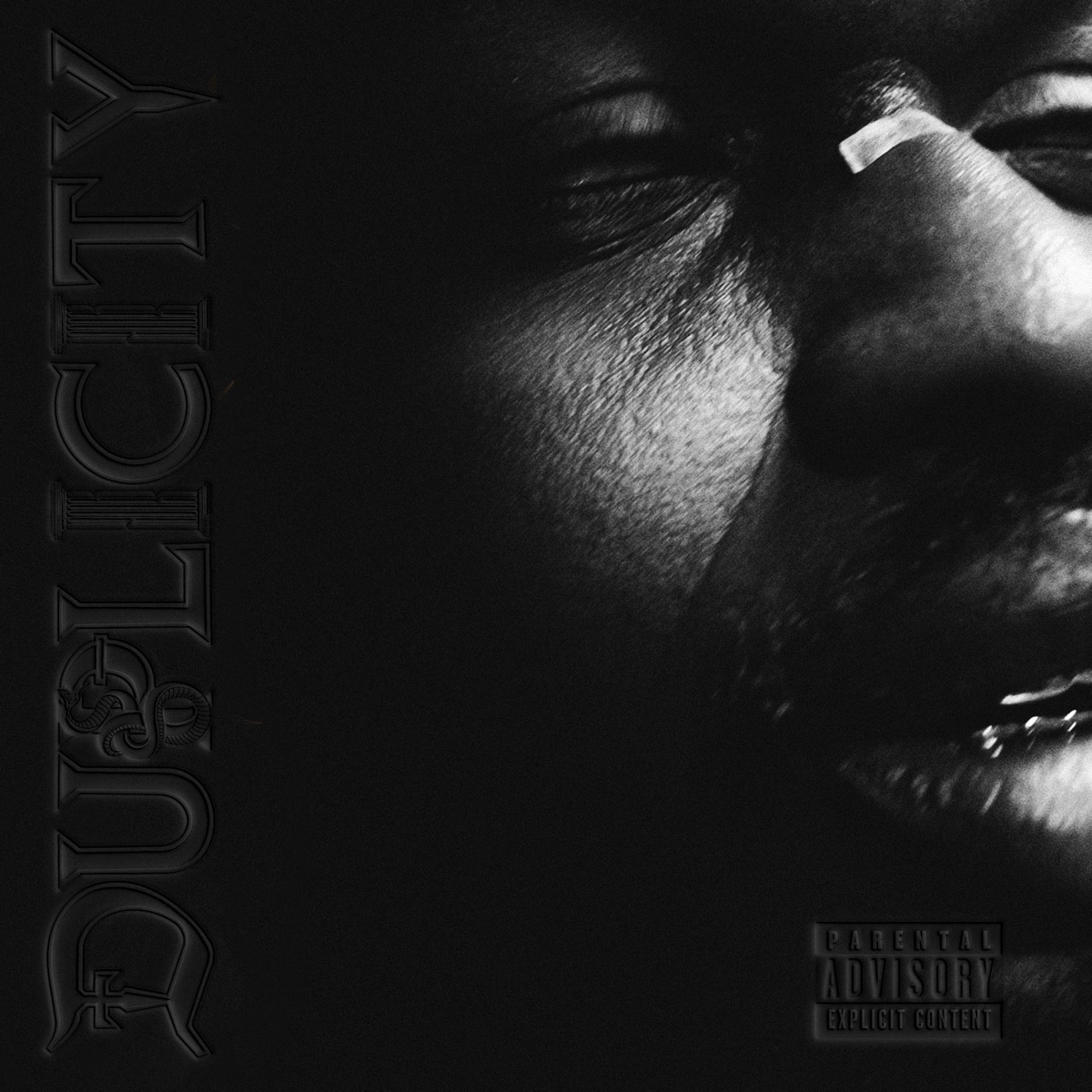Duplicity by Boj album cover