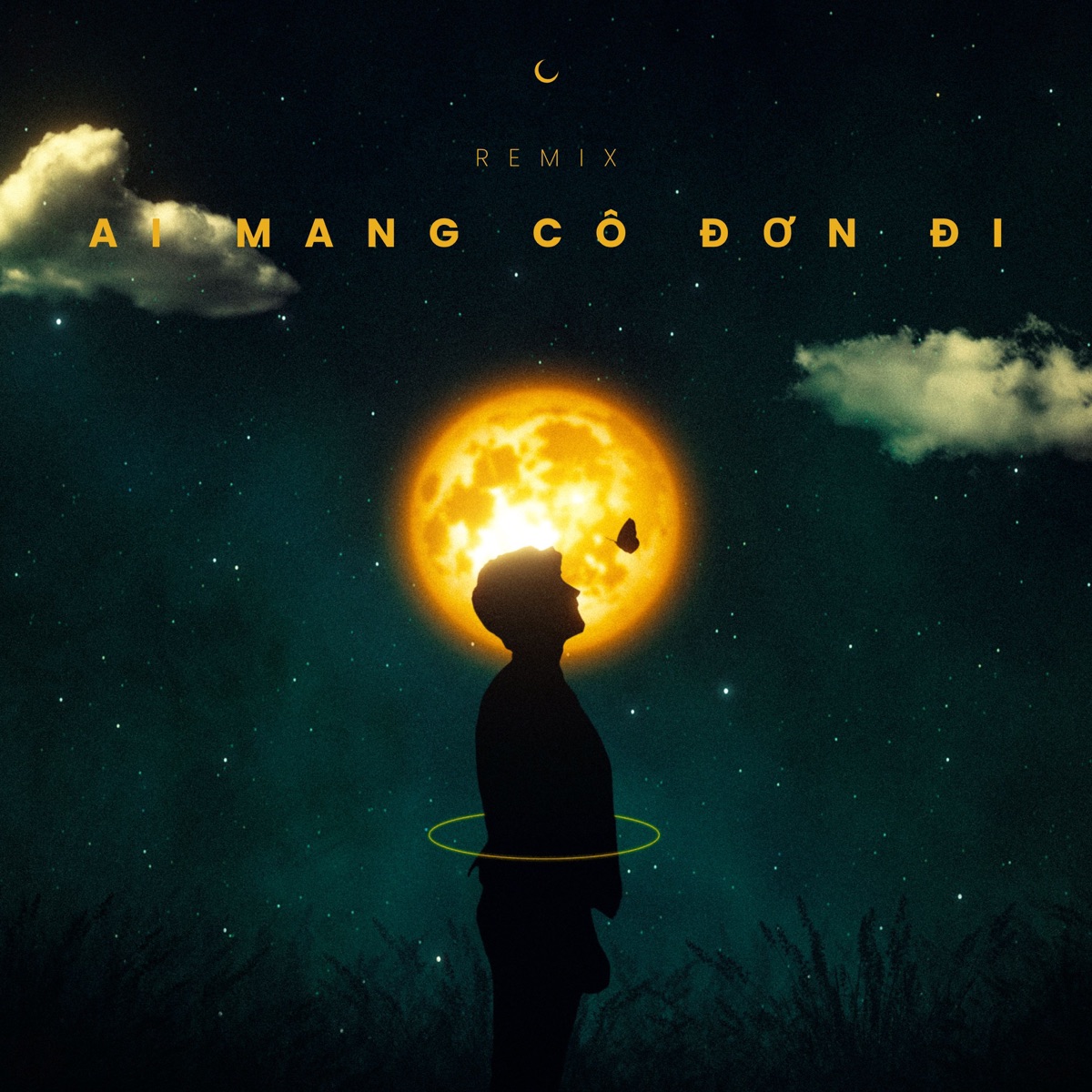 Ai Mang Cô Đơn Đi (Remix) - Single by APJ & ICM album cover