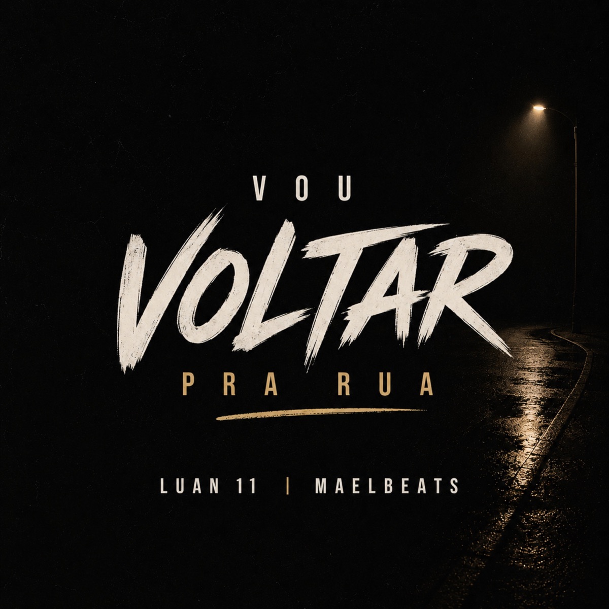Vou Volta Pra Rua - Single by Luan11 & Maelbeats album cover