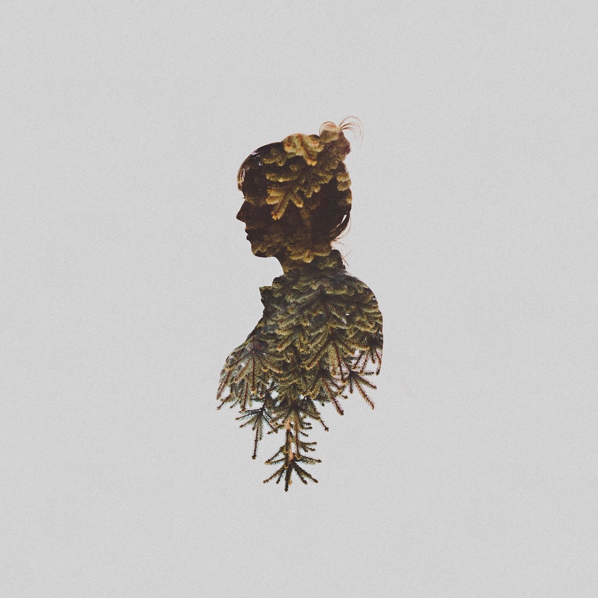 Different Causes (feat. Anouk Visee) - Single by Bog album cover