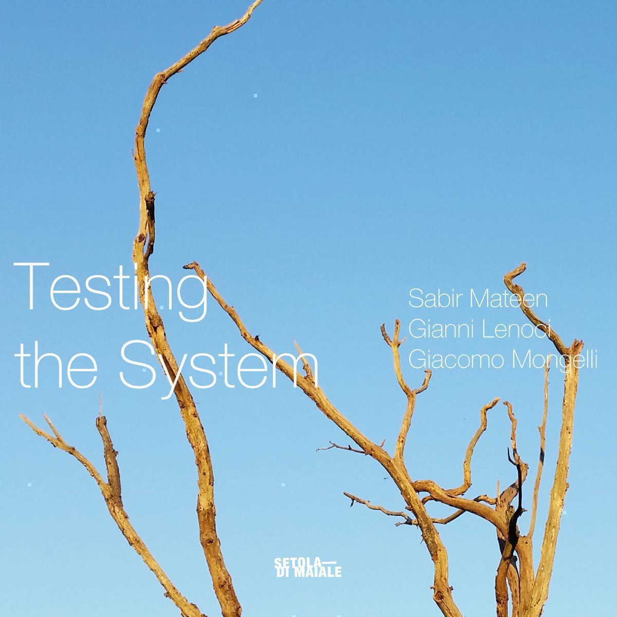 Testing the System by Sabir Mateen, Giacomo Mongelli & Gianni Lenoci album cover