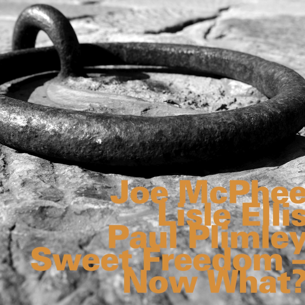 Sweet Freedom - Now What? by Joe McPhee, Lisle Ellis & Paul Plimley album cover