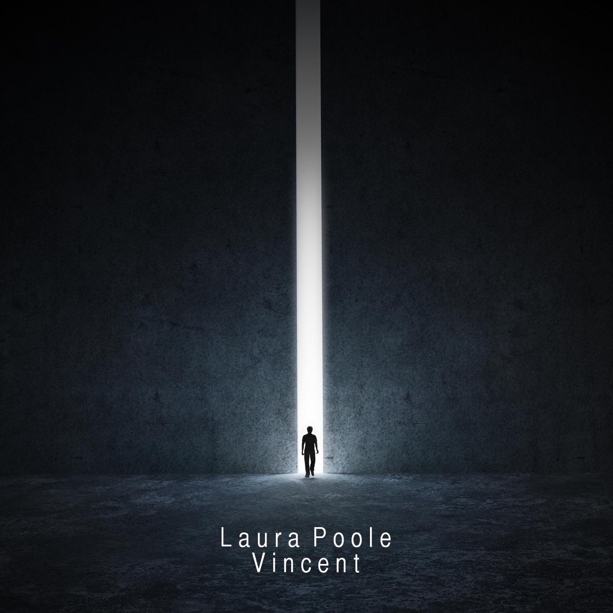 Vincent - Single by Laura Poole album cover