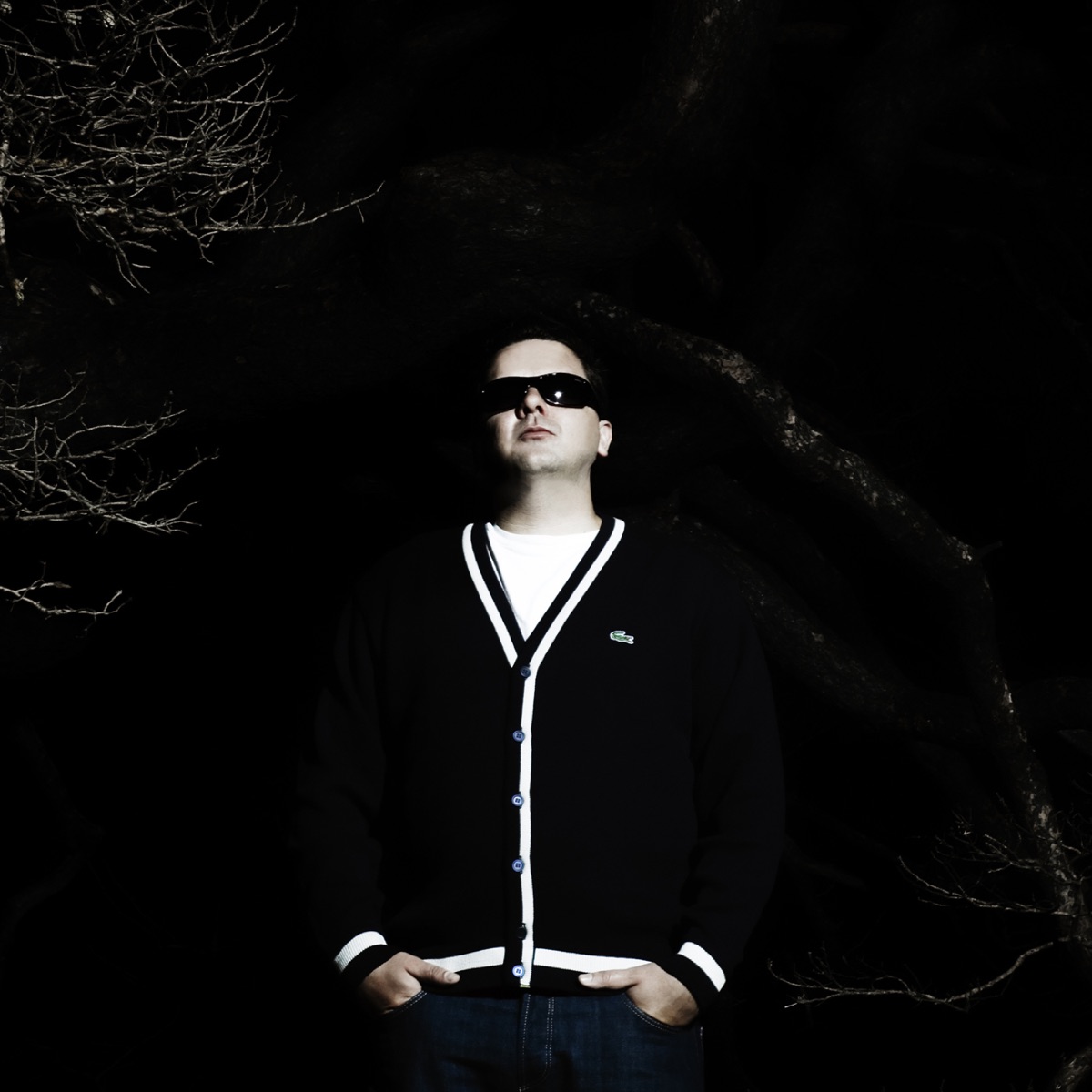 Sannhetsserum [feat. Ida Maria] by Joddski album cover