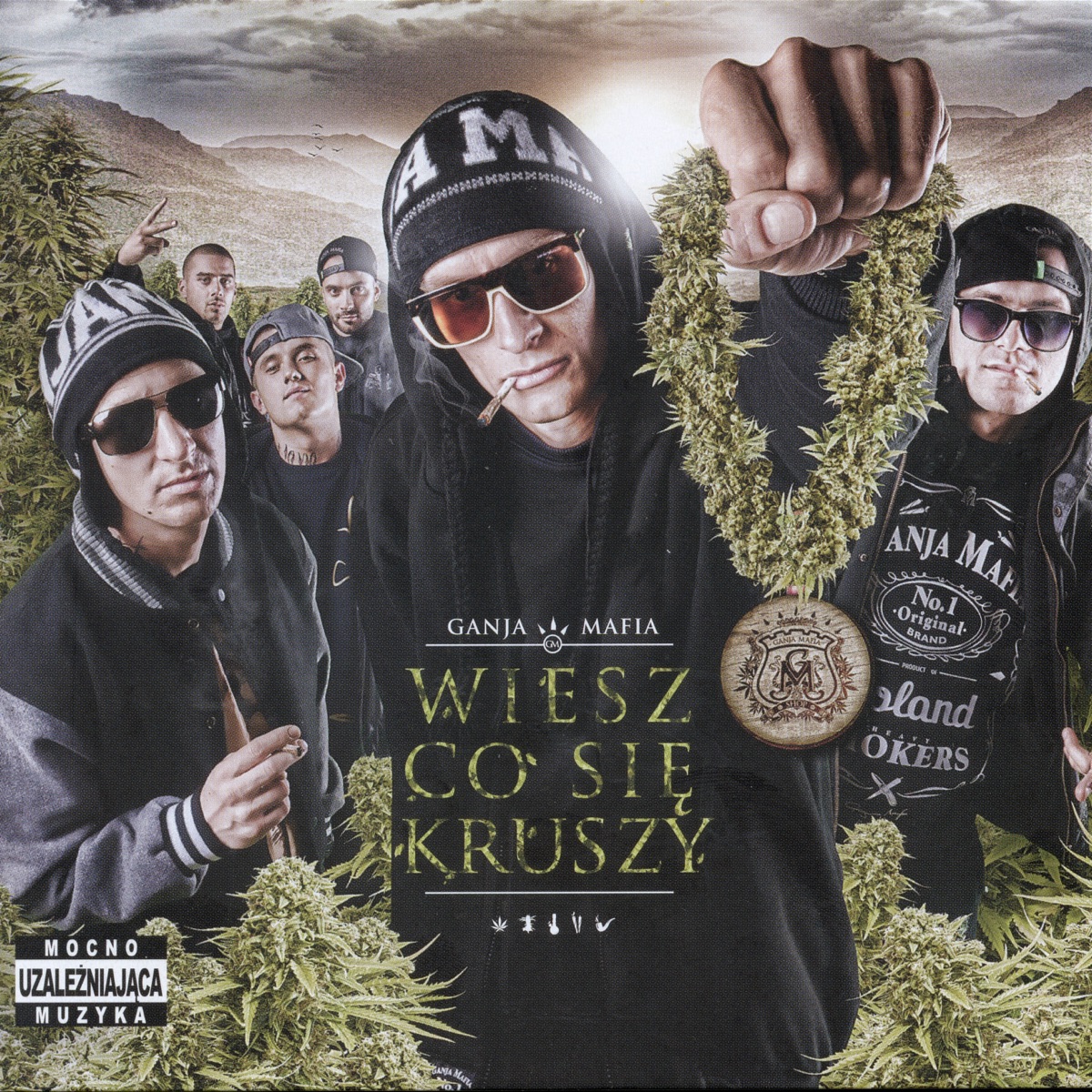 Wiesz Co Się Kruszy by Ganja Mafia, Kacper HTA & Kali album cover