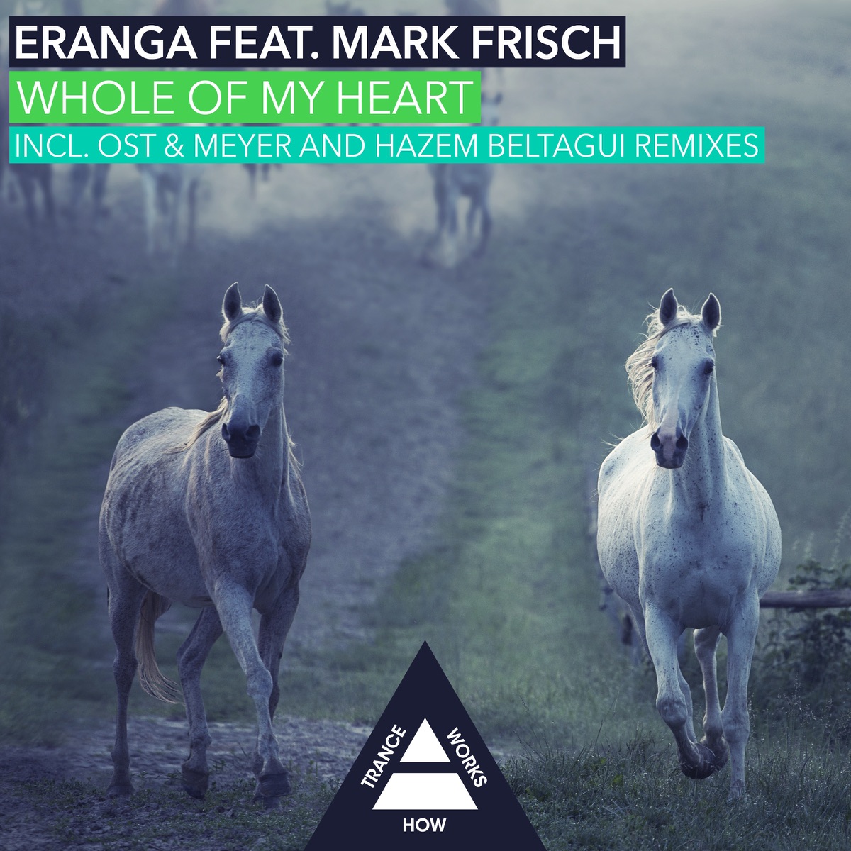 Whole of My Heart (feat. Mark Frisch) by eranga album cover