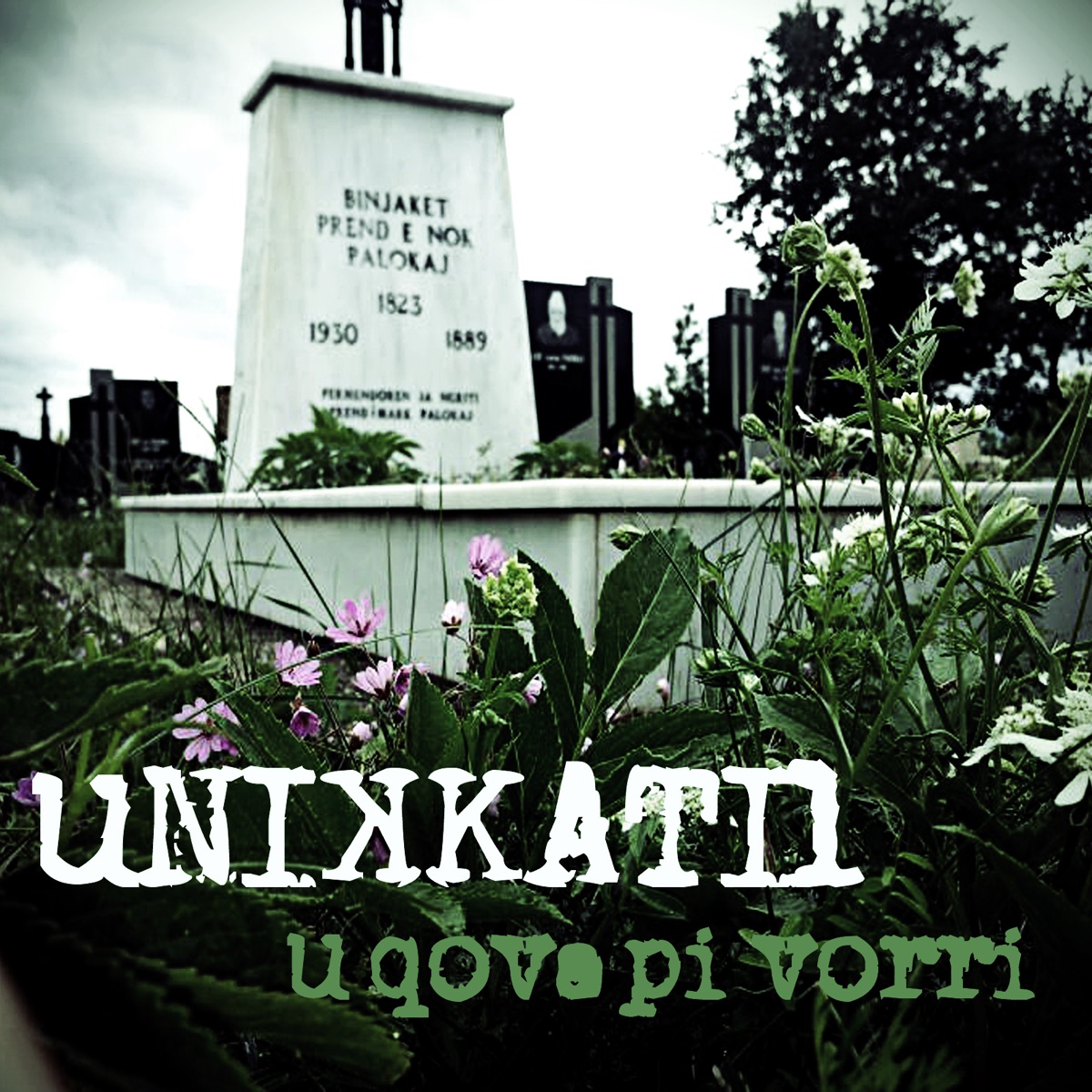 U Qova Pi Vorri - Single by Unikkatil album cover
