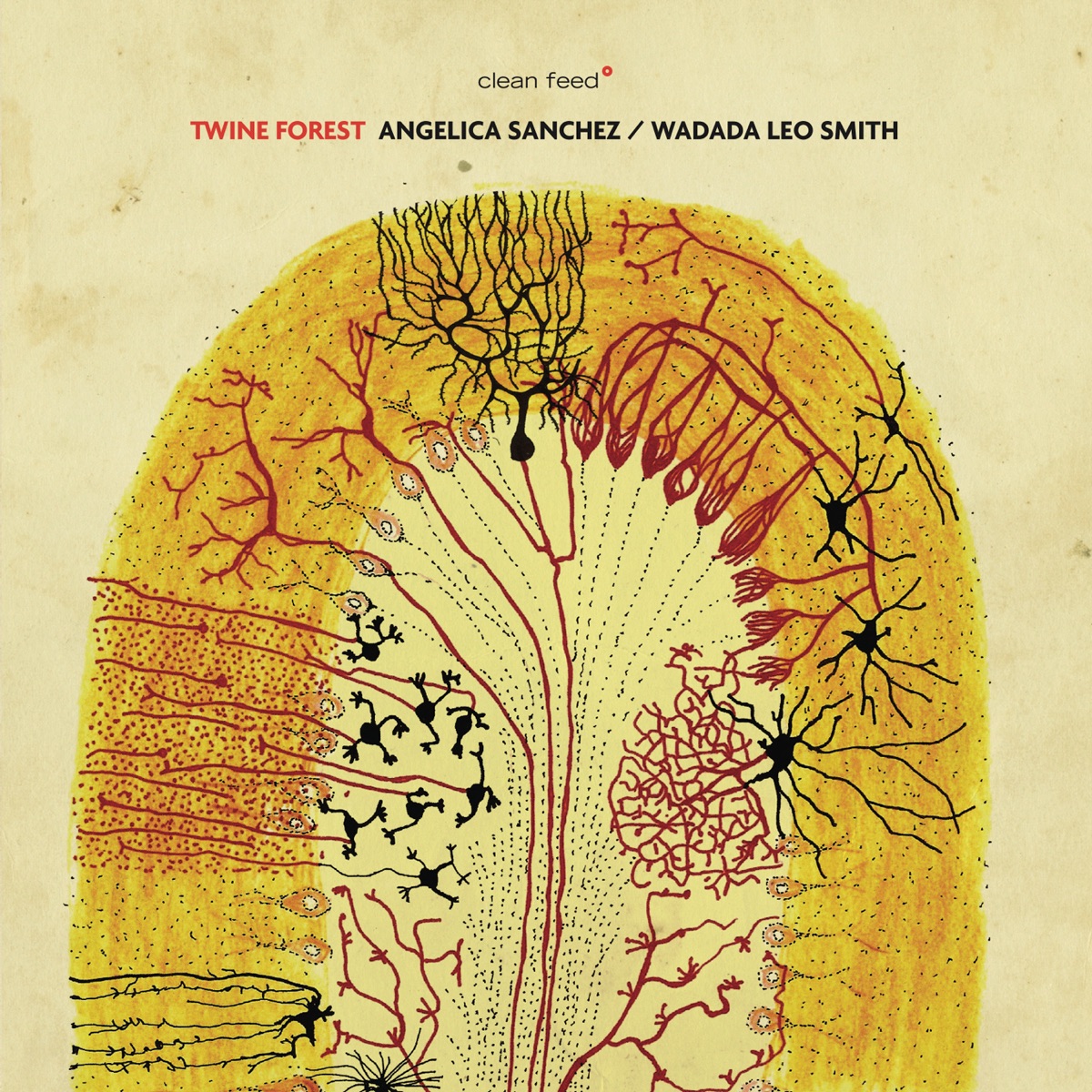 Twine Forest by Angelica Sanchez & Wadada Leo Smith album cover