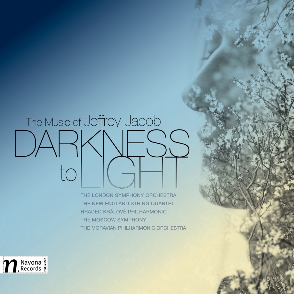 Darkness to Light by Various Artists album cover