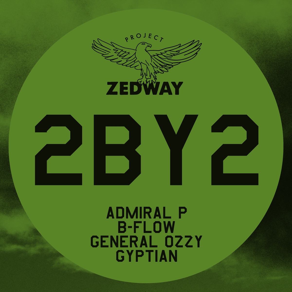 2by2 (feat. Gyptian) - Single by Admiral P, B Flow & General Ozzy album cover