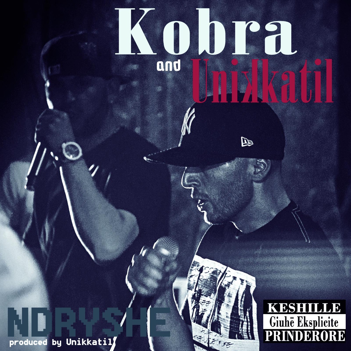 Ndryshe - Single by Unikkatil & Kobra album cover