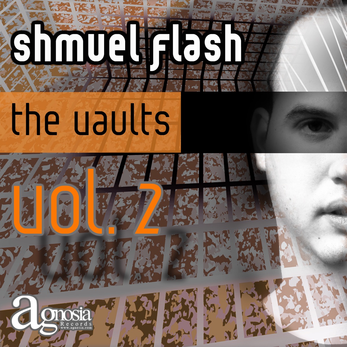 The Vaults Vol. 2 by Shmuel Flash album cover