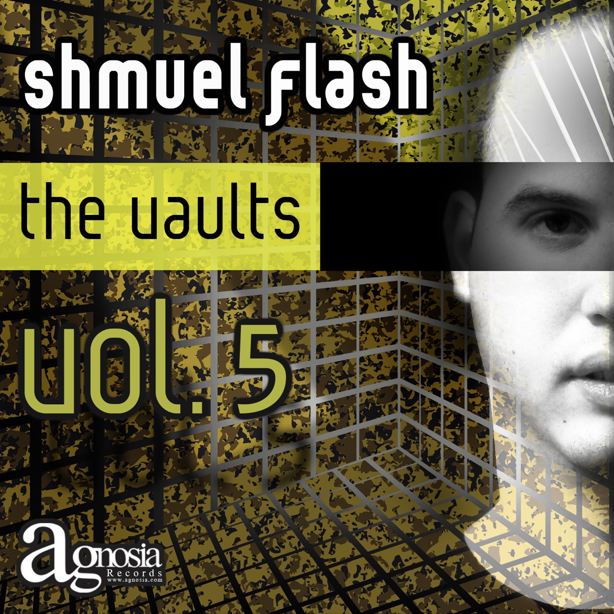 The Vaults, Vol. 5 by Shmuel Flash album cover