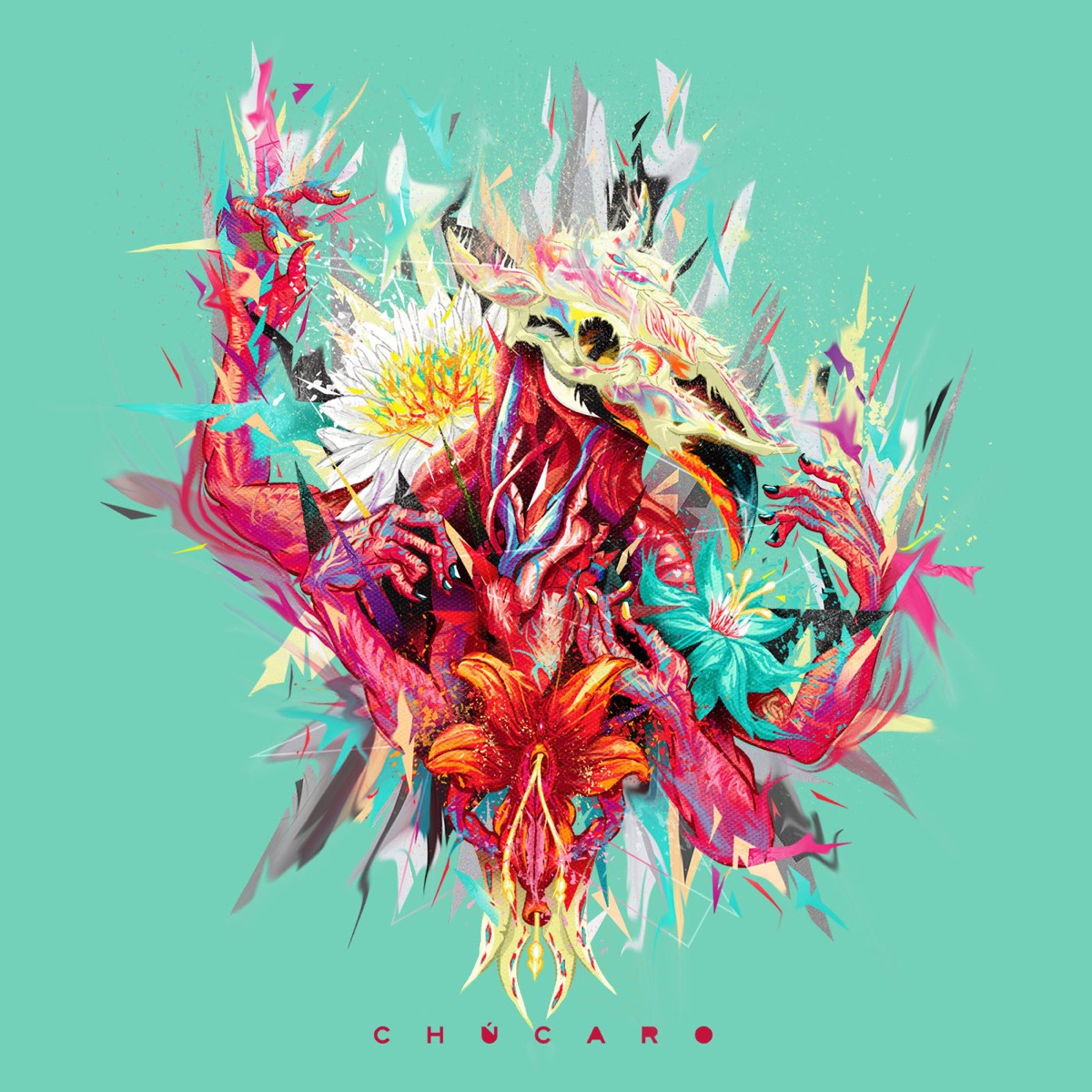 Chúcaro - Single by Cocofunka album cover