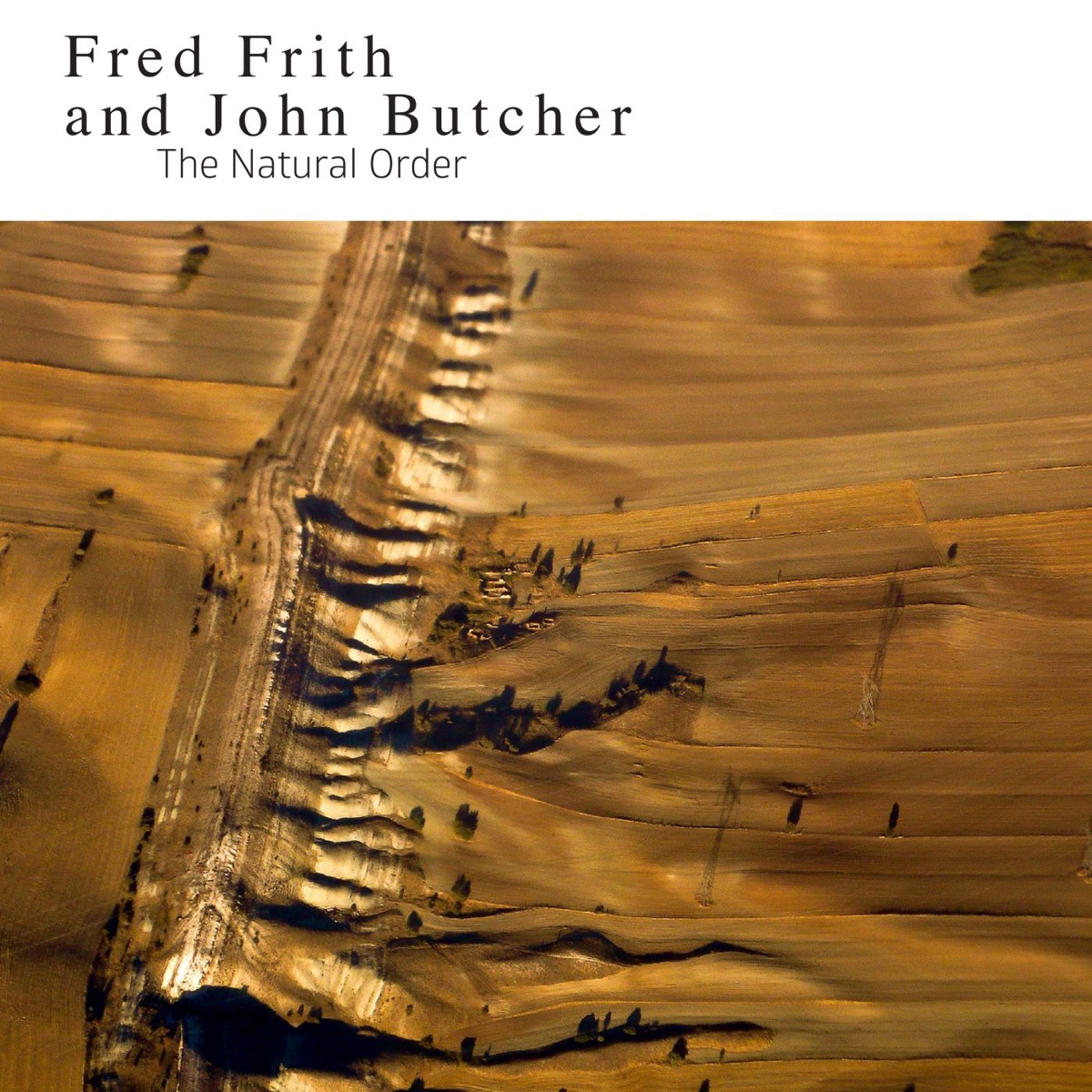 The Natural Order by Fred Frith & John Butcher album cover