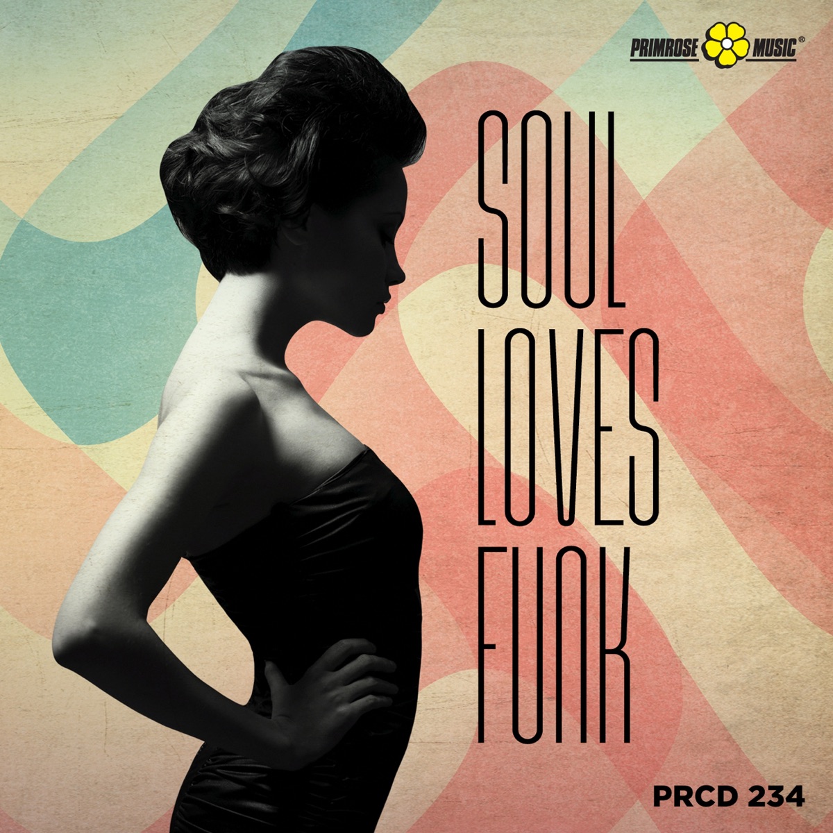 Soul Loves Funk by Samuele Pagliarani, Simone Pagliarani & Francesco Minotti album cover