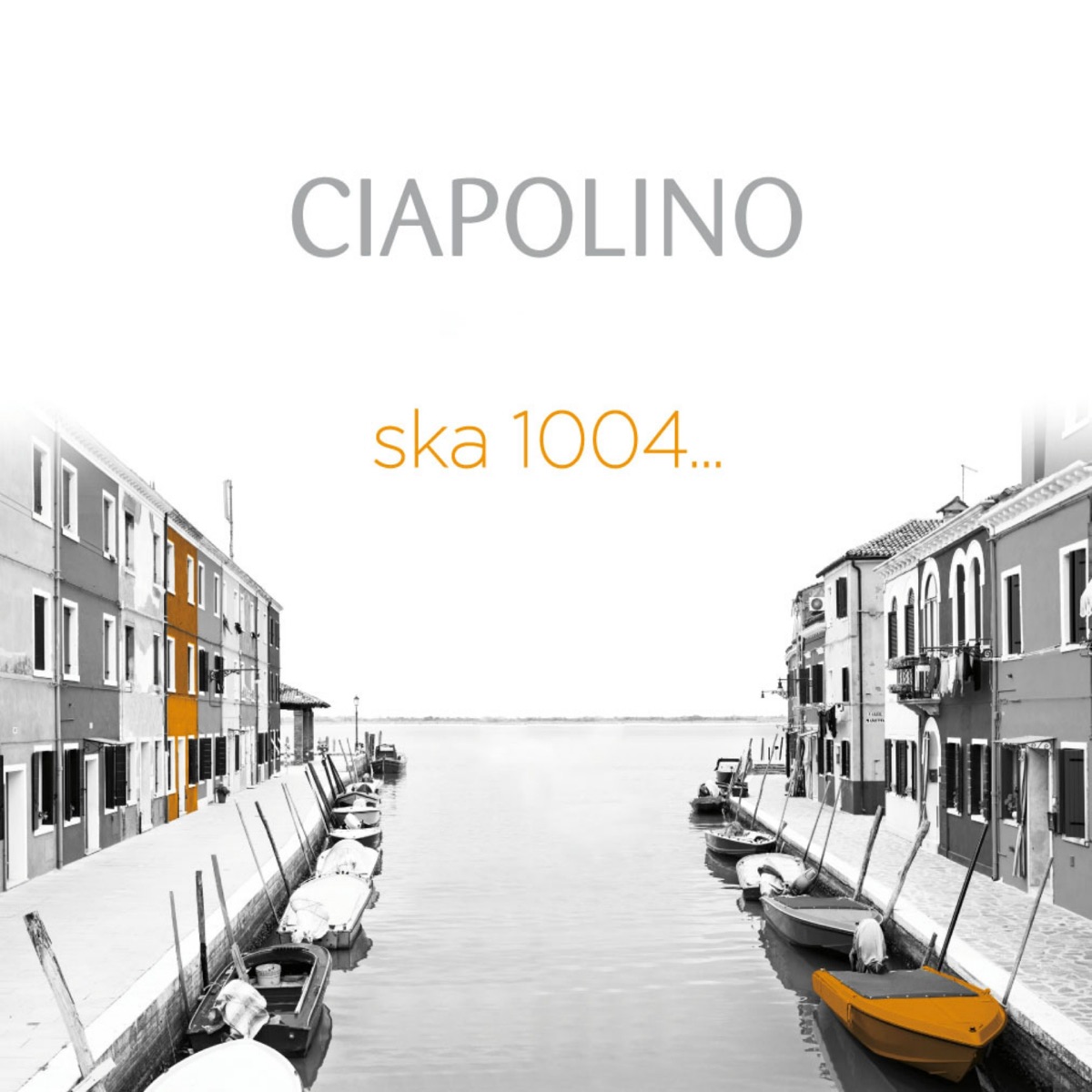 Ska 1004... (feat. Eilidh Shaw, Johan Dalgaard, Latabi Diouani, Angus MacKenzie & Nicolas Quémener) - Single by Arnaud Ciapolino album cover