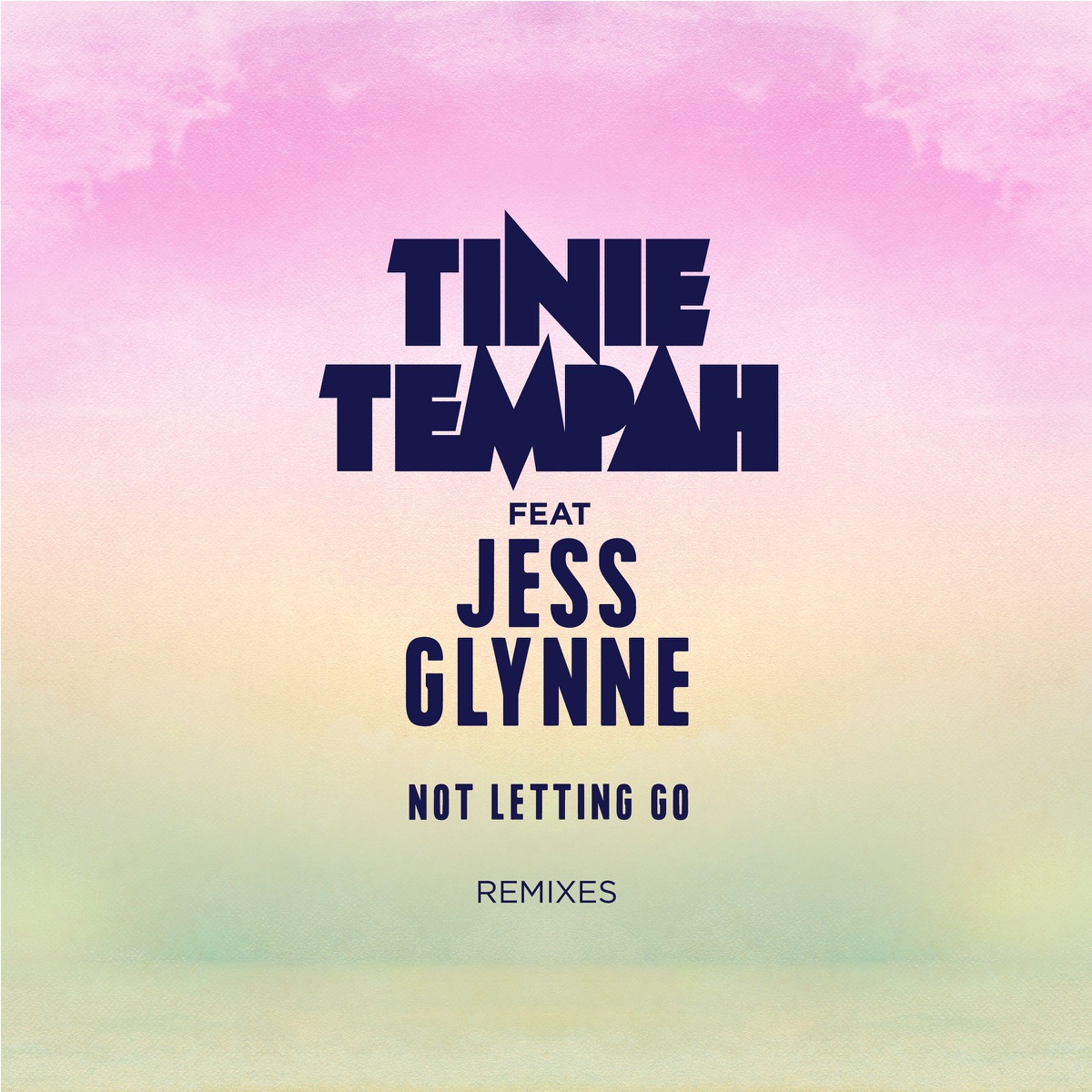 Not Letting Go (feat. Jess Glynne) [Remixes] - EP by Tinie Tempah album cover