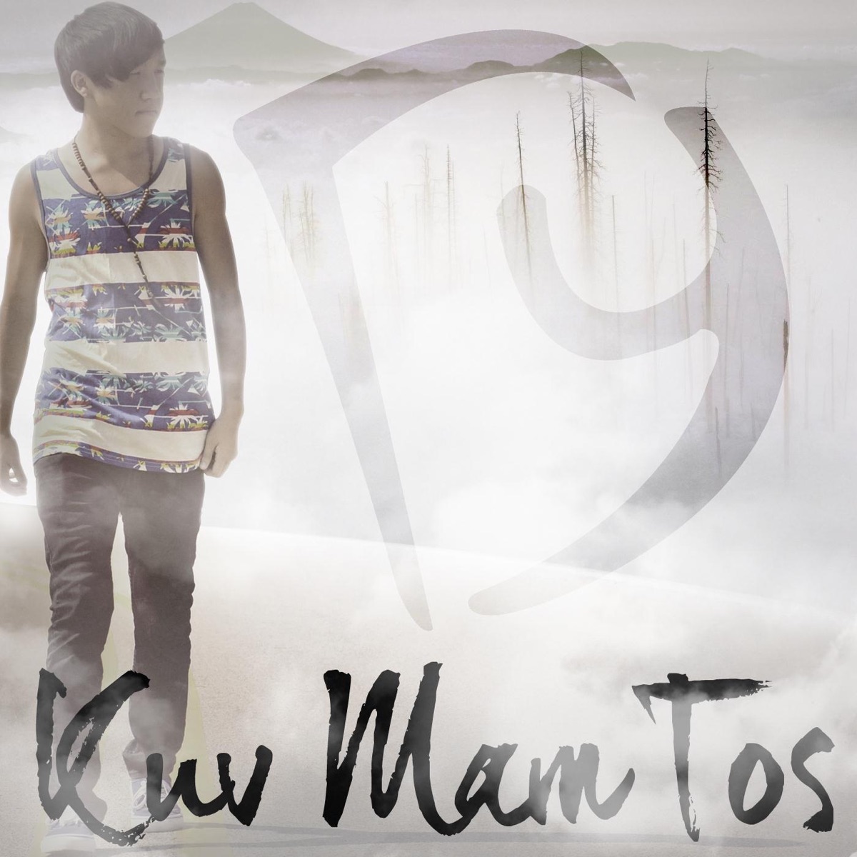 Kuv Mam Tos - Single by Dave Yang album cover