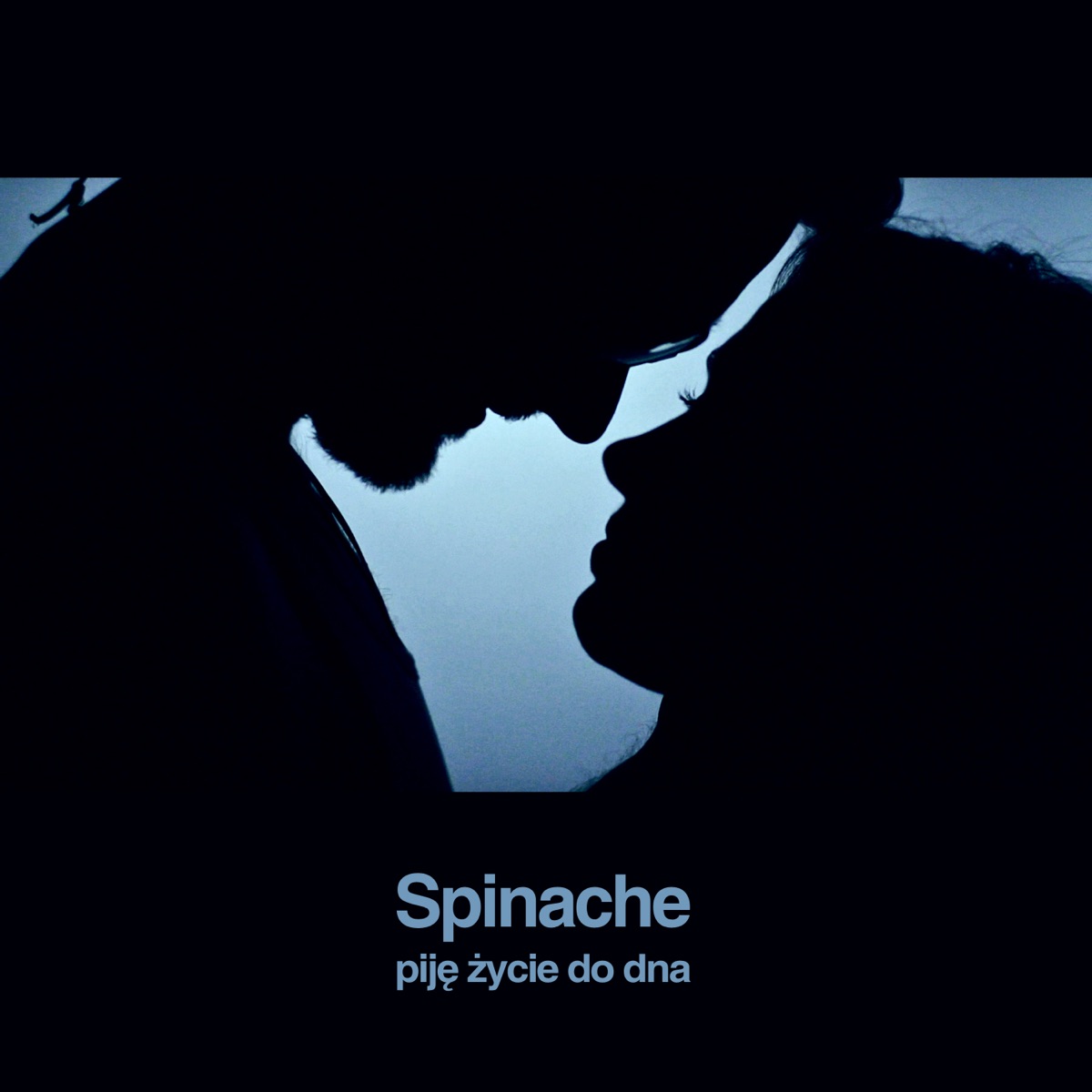 Piję Życie Do Dna - Single by Spinache album cover