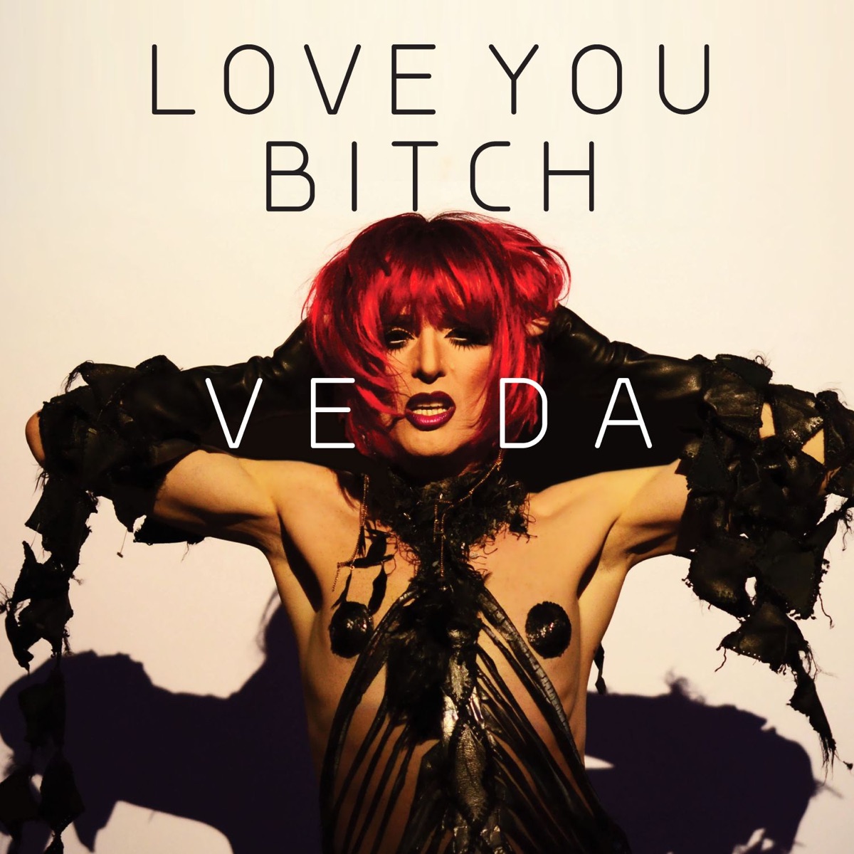 Love You Bitch - Single by Veda album cover