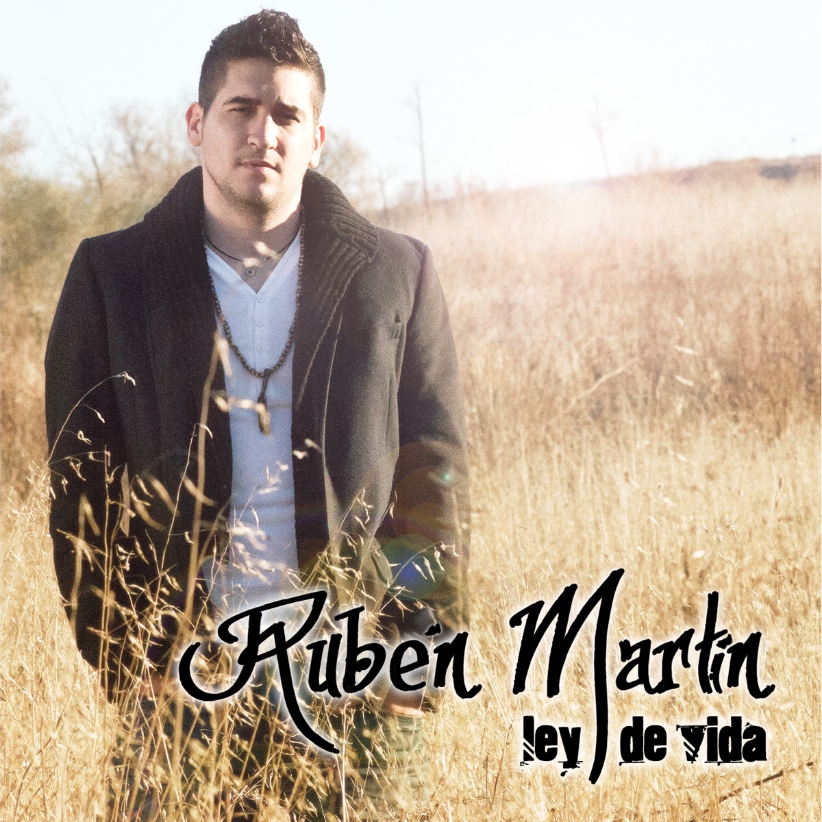 Ley de Vida - Single by Rubén Martín album cover