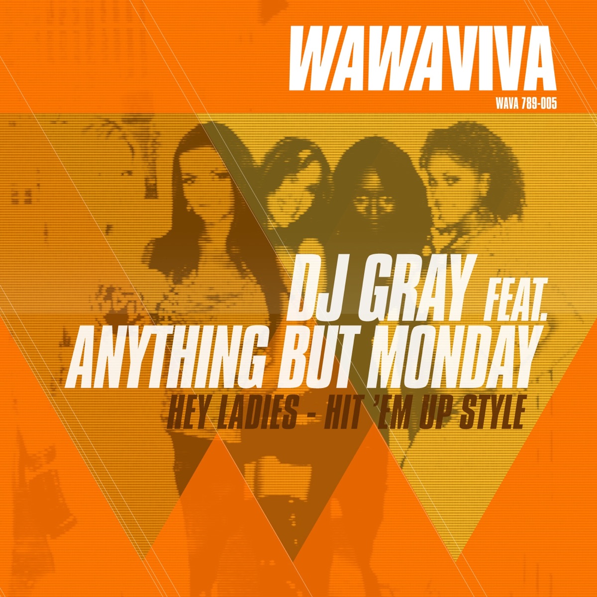 Hey Ladies - Hit 'Em Up (feat. Anything But Monday) - Single by DJ Gray album cover